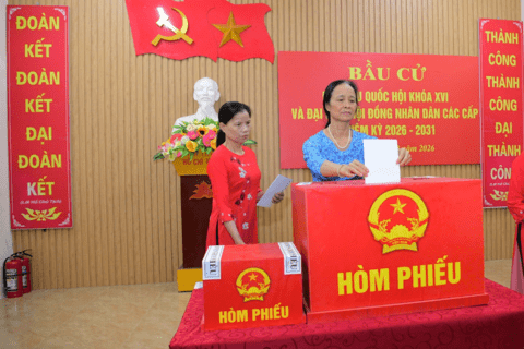 2.536 khu vực bỏ phiếu trên địa bàn toàn tỉnh đồng loạt khai mạc bầu cử